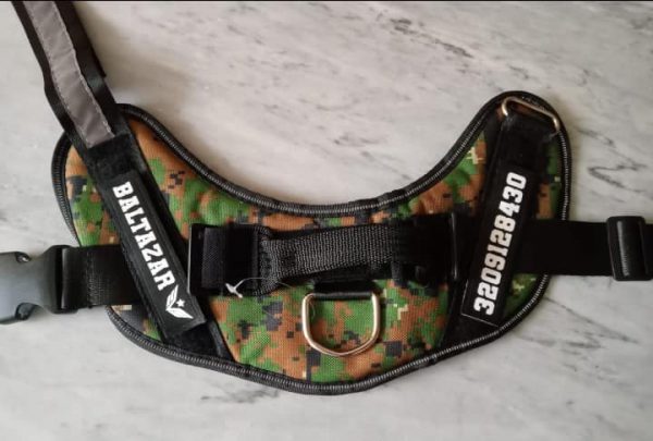 Pechera camuflada para perro