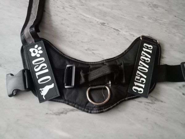 Pecheras personalizadas para perros