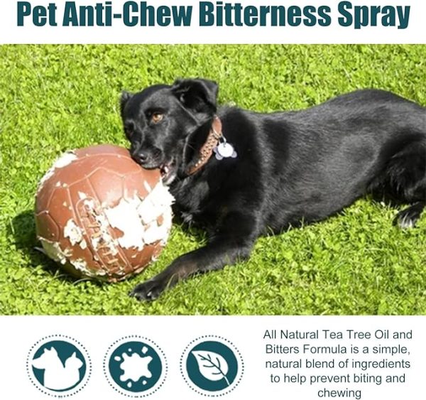 Spray de manzana amarga para perros: la formulación amarga deja un sabor poco atractivo en las superficies para ayudar a frenar los hábitos no deseados al disuadir a las mascotas de lamer, morder o masticar. Disuasorio amargo de larga duración: la fórmula antimasticable en aerosol para perros y gatos dura más que otros. Ideal para usar en la piel o en muebles del hogar, zapatos, plantas y otros artículos del hogar. Ayuda de entrenamiento: corrige el comportamiento de tu perro positivamente con esta eficaz ayuda de entrenamiento. No se necesitan gritos de enojo, usa la paciencia, la persistencia y las recompensas para romper los malos hábitos Seguro y profesional: la fórmula suave y libre de daños no deja manchas y es segura tanto para mascotas como para humanos. Evite rociar cerca de la nariz, los ojos y las heridas abiertas de la mascota Eficaz y seguro: se puede rociar de forma segura sobre telas, mesas, persianas, zócalos, cordones de polvo, zapatos, muebles, cables, carpintería, alfombras y muchas otras cosas que no quieres que tu perro mastique. Spray corrector de mascotas para perros, gatos y caballos. Use consistentemente hasta que se reduzcan los hábitos indeseables.