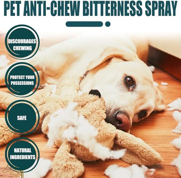 Spray de manzana amarga para perros: la formulación amarga deja un sabor poco atractivo en las superficies para ayudar a frenar los hábitos no deseados al disuadir a las mascotas de lamer, morder o masticar. Disuasorio amargo de larga duración: la fórmula antimasticable en aerosol para perros y gatos dura más que otros. Ideal para usar en la piel o en muebles del hogar, zapatos, plantas y otros artículos del hogar. Ayuda de entrenamiento: corrige el comportamiento de tu perro positivamente con esta eficaz ayuda de entrenamiento. No se necesitan gritos de enojo, usa la paciencia, la persistencia y las recompensas para romper los malos hábitos Seguro y profesional: la fórmula suave y libre de daños no deja manchas y es segura tanto para mascotas como para humanos. Evite rociar cerca de la nariz, los ojos y las heridas abiertas de la mascota Eficaz y seguro: se puede rociar de forma segura sobre telas, mesas, persianas, zócalos, cordones de polvo, zapatos, muebles, cables, carpintería, alfombras y muchas otras cosas que no quieres que tu perro mastique. Spray corrector de mascotas para perros, gatos y caballos. Use consistentemente hasta que se reduzcan los hábitos indeseables.