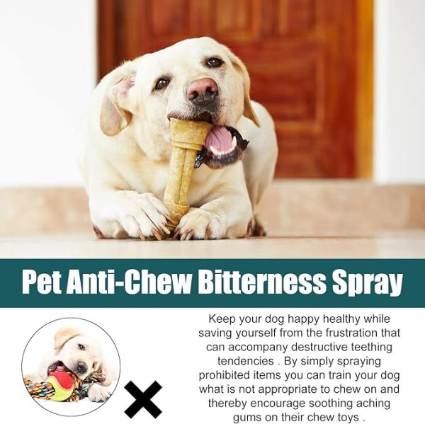 Spray de manzana amarga para perros: la formulación amarga deja un sabor poco atractivo en las superficies para ayudar a frenar los hábitos no deseados al disuadir a las mascotas de lamer, morder o masticar. Disuasorio amargo de larga duración: la fórmula antimasticable en aerosol para perros y gatos dura más que otros. Ideal para usar en la piel o en muebles del hogar, zapatos, plantas y otros artículos del hogar. Ayuda de entrenamiento: corrige el comportamiento de tu perro positivamente con esta eficaz ayuda de entrenamiento. No se necesitan gritos de enojo, usa la paciencia, la persistencia y las recompensas para romper los malos hábitos Seguro y profesional: la fórmula suave y libre de daños no deja manchas y es segura tanto para mascotas como para humanos. Evite rociar cerca de la nariz, los ojos y las heridas abiertas de la mascota Eficaz y seguro: se puede rociar de forma segura sobre telas, mesas, persianas, zócalos, cordones de polvo, zapatos, muebles, cables, carpintería, alfombras y muchas otras cosas que no quieres que tu perro mastique. Spray corrector de mascotas para perros, gatos y caballos. Use consistentemente hasta que se reduzcan los hábitos indeseables.